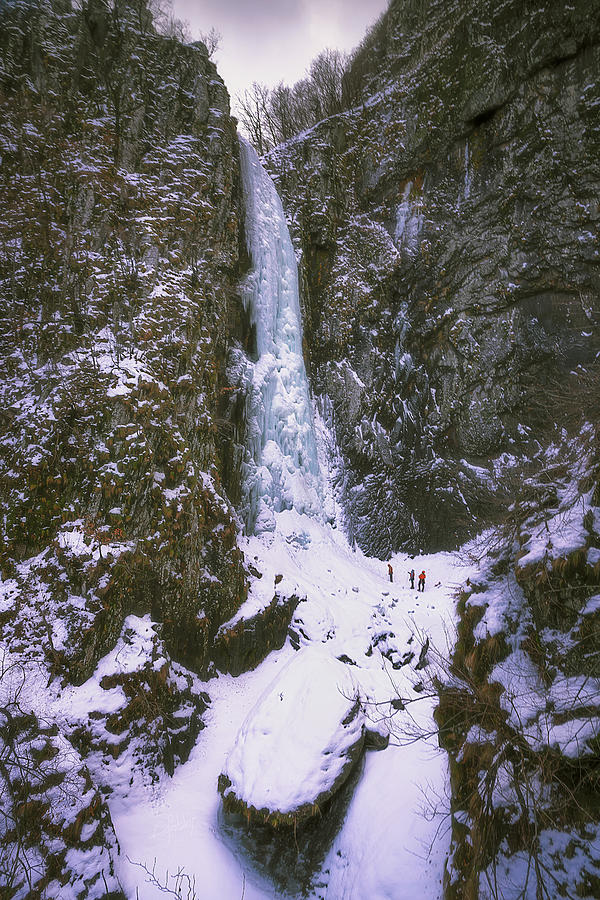 Frozen Giant Photograph