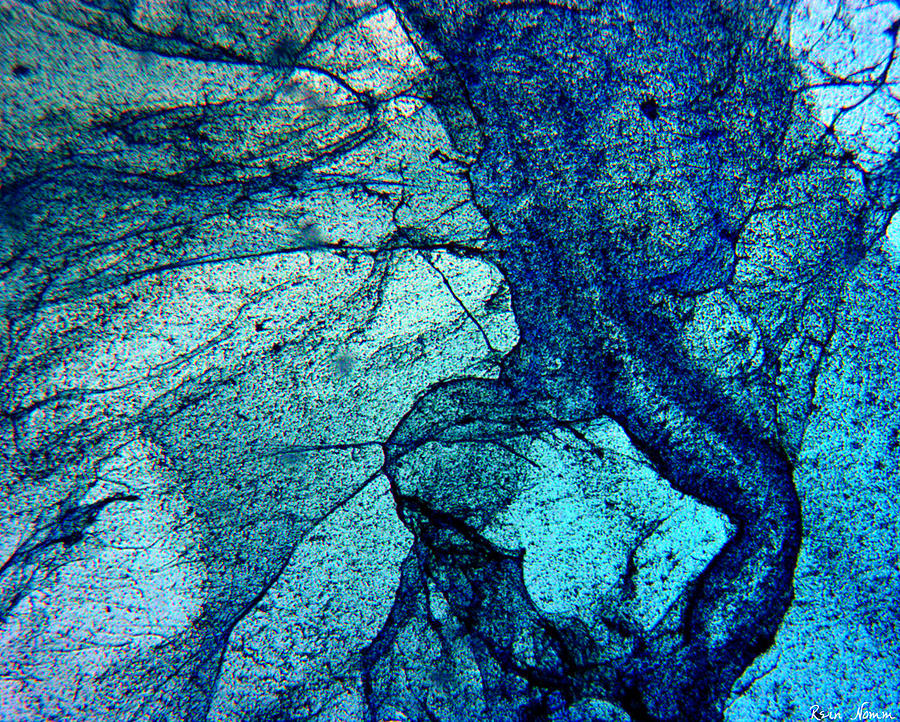 Frozen in Blue Photograph by Rein Nomm