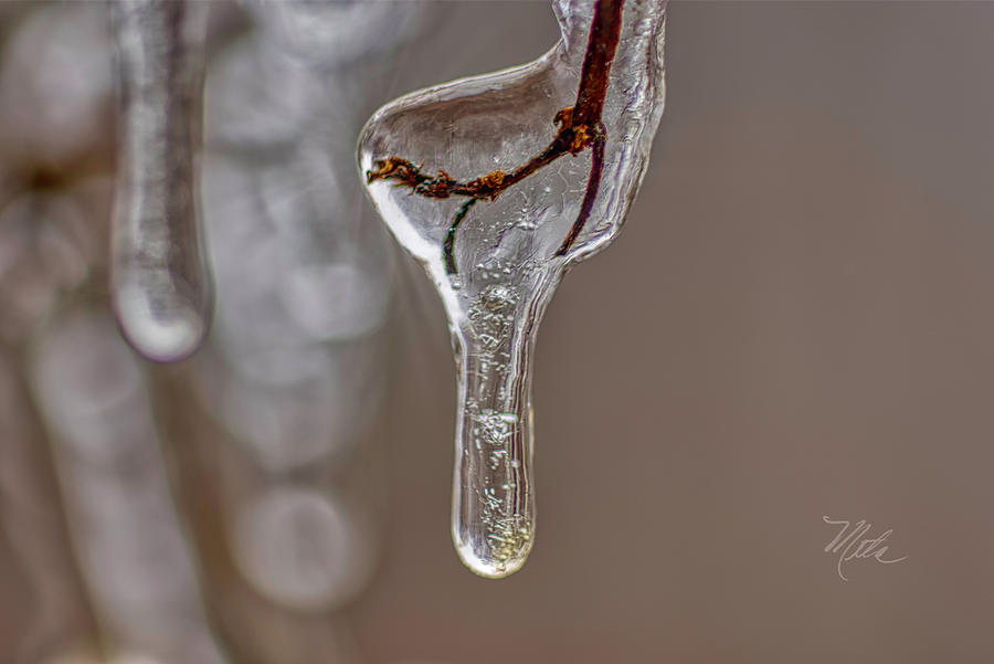 Frozen In Time Photograph by Meta Gatschenberger