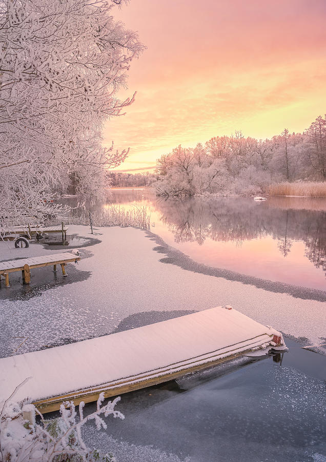 Frozen Jetty And Pink Sunset Photograph by Christian Lindsten