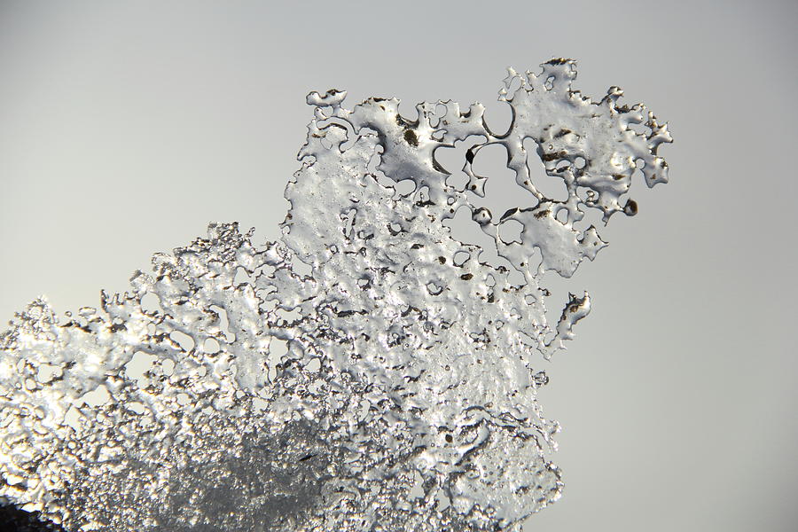 Frozen Lace by Marie Leslie Frozen Lace by Marie Leslie