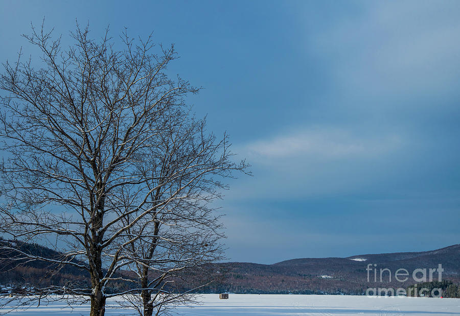 Frozen Lake Photograph by Alana Ranney