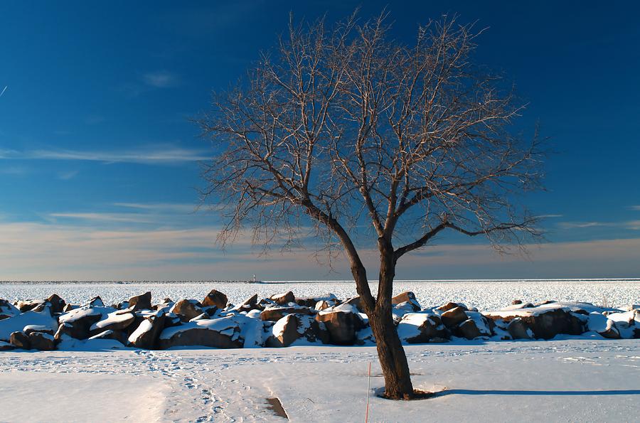 Frozen Lake Erie Photograph By John Judnick