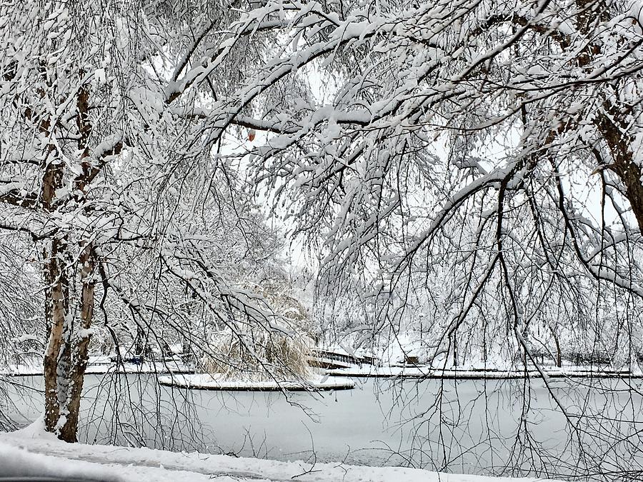 Frozen Lake in Kansas City Photograph by Barbara Anna Knauf