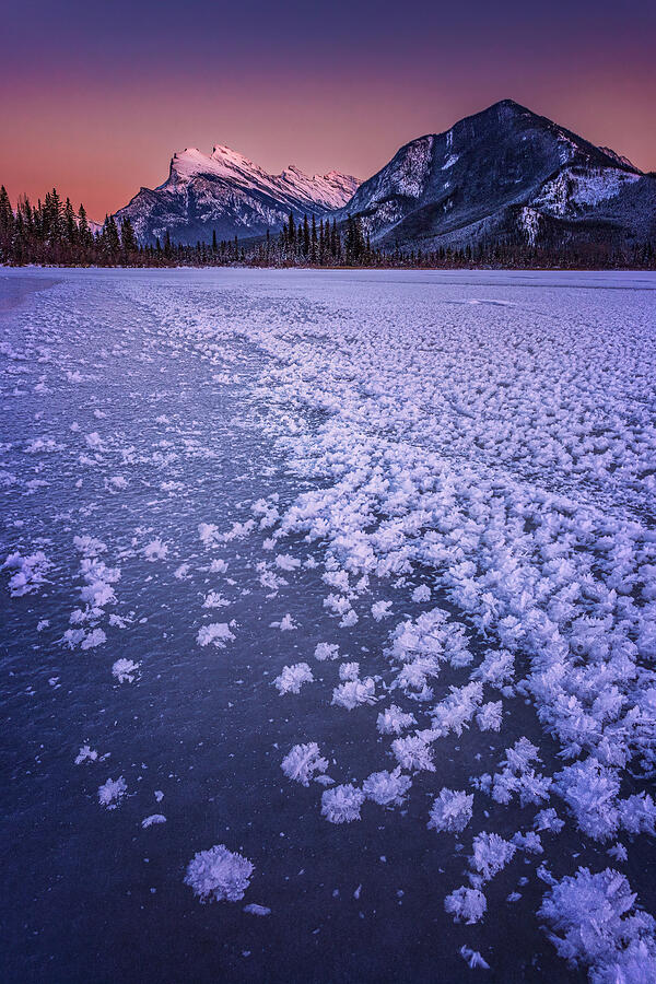 Frozen Lake Photograph by Lisa Zhang
