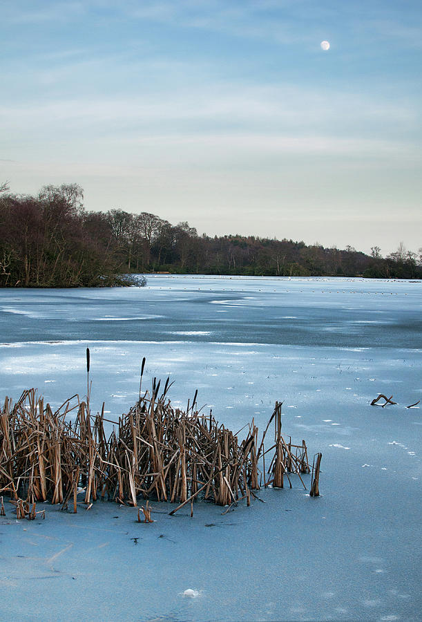 Frozen Lake Photograph by Peter Mulligan