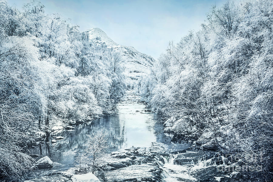 Kremsdorf Photograph - Frozen Memories by Evelina Kremsdorf Kremsdorf Photograph - Frozen Memories by Evelina Kremsdorf