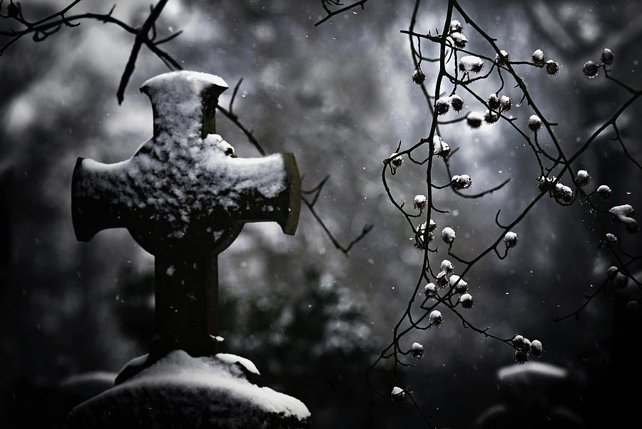 Winter Photograph - Frozen Memories by Piet Flour