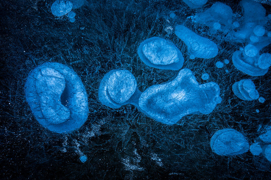 Winter Photograph - Frozen Methane Bubbles by Joao B. P. Soares