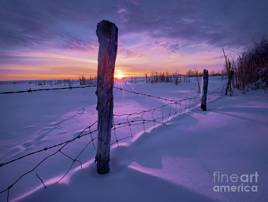 Frozen Pond Photograph by Dan Jurak