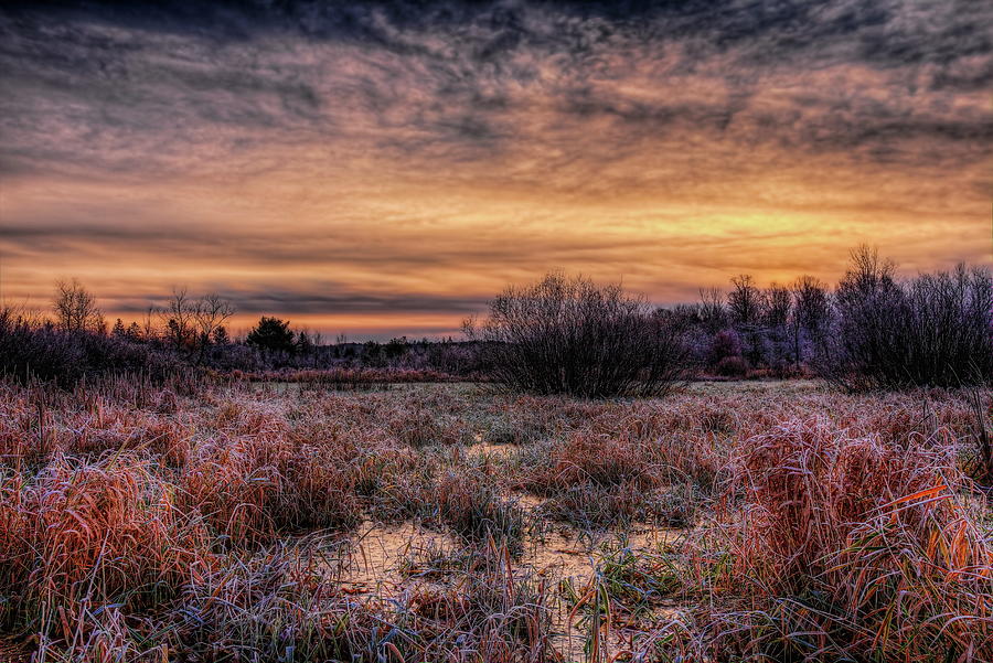 Frozen Pond Sunrise Photograph by Dale Kauzlaric