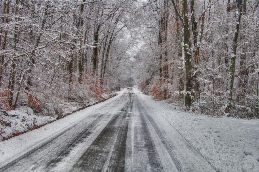 Frozen Road Photograph