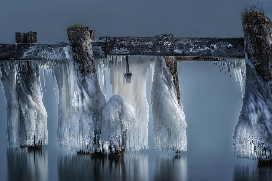 Winter Photograph - Frozen Solid by Susan Breau