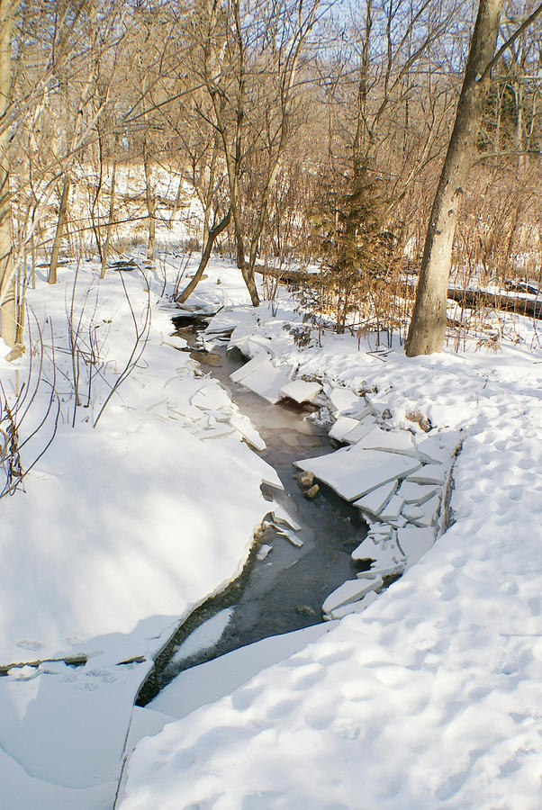 Frozen Stream Photograph by William Wernicke | Pixels