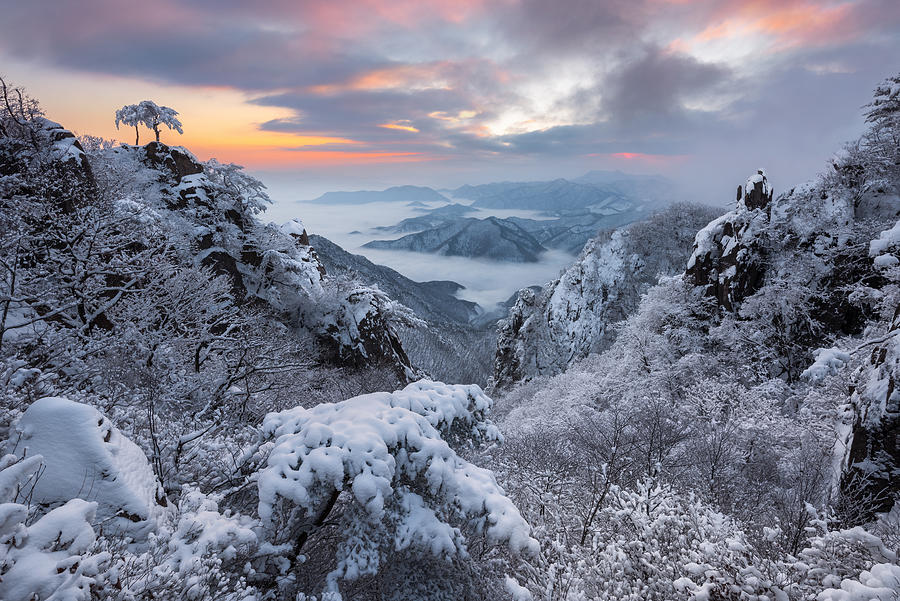 Jaeyoun Ryu фотограф