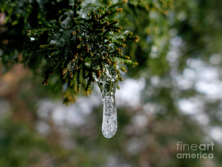 Frozen Water Drip Bokeh Photograph by Sandra Js