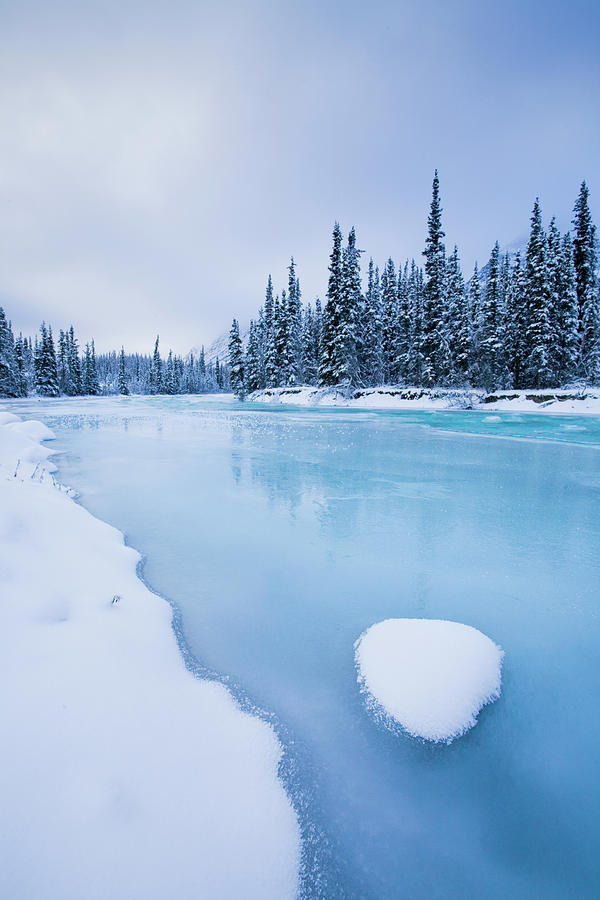 Frozen Wheaton River Photograph by Nicolas Dory Photography