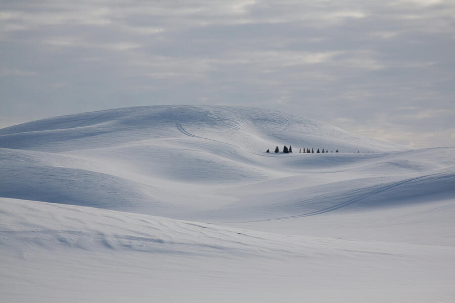 Frozen winter hills Photograph by Tatiana Travelways