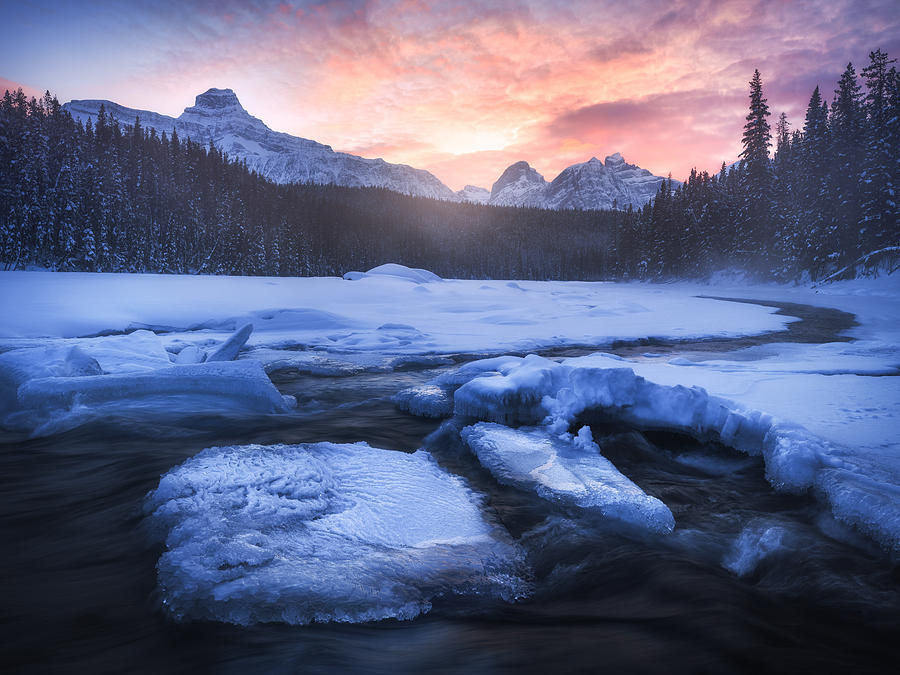 Frozen Wonderland Photograph by Daniel Fleischhacker