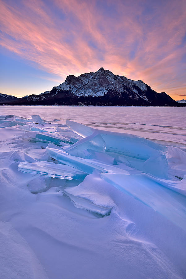 Winter Photograph - Frozen World by Mei Xu