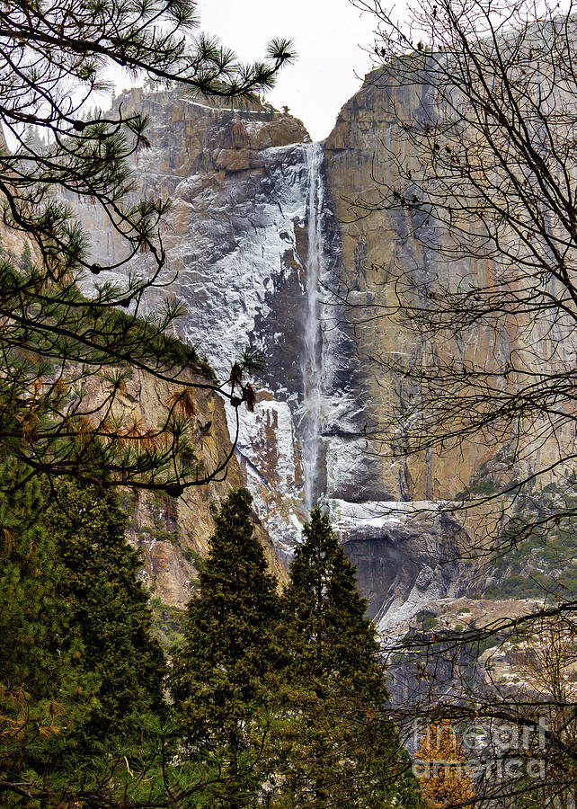 Frozen Yosemite Falls Photograph by Roslyn Wilkins