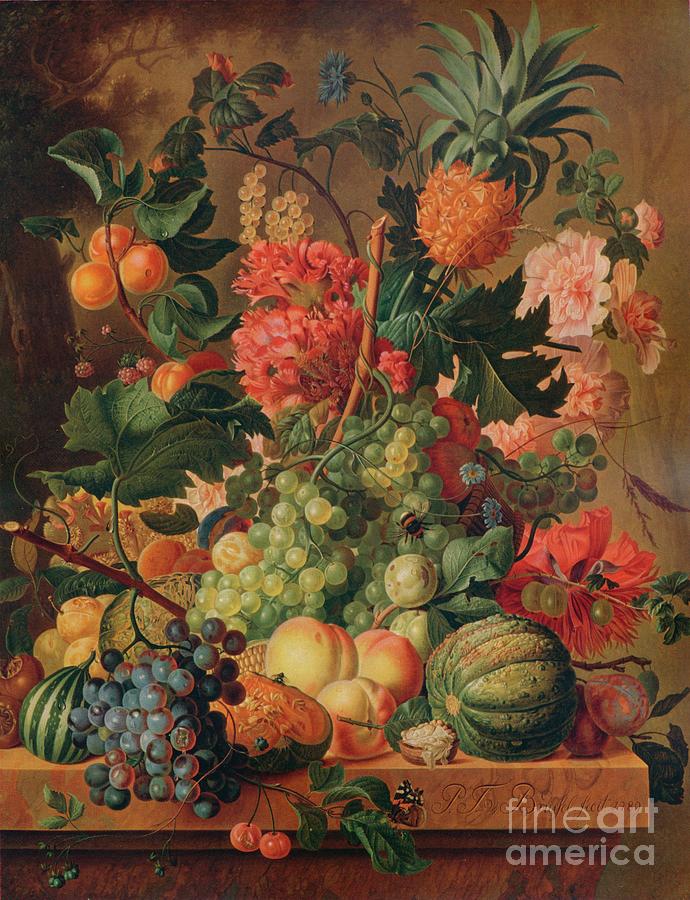 Fruit And Flowers, 1789, 1938 Drawing by Print Collector