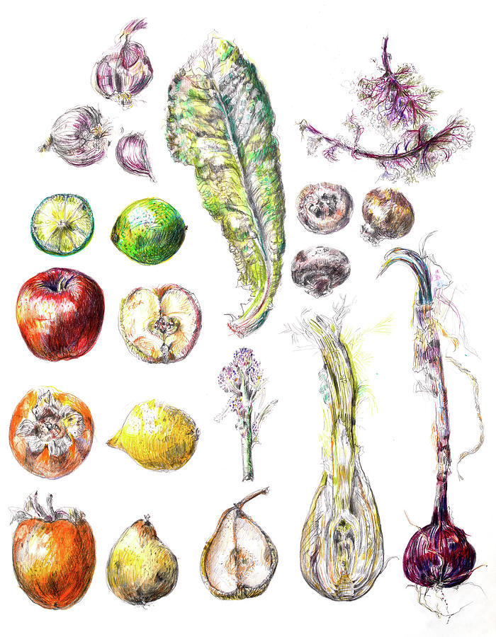 Fruit and Vegetables Painting by Gloria Newlan