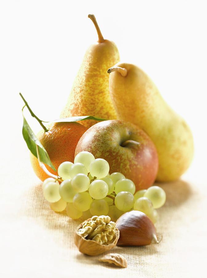 Fruit Composition Photograph by Studio