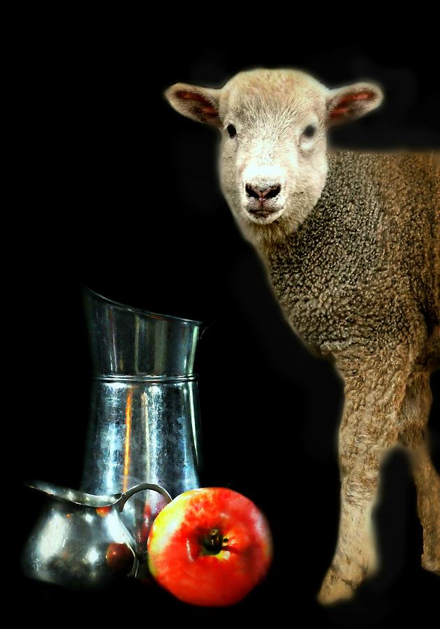 Fruit of thy Lamb Photograph by Diana Angstadt