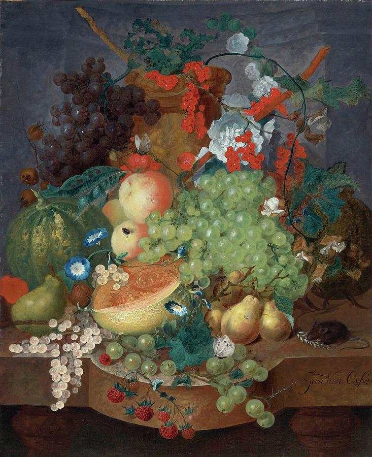 Fruit Still Life With A Mouse On A Ledge Painting by Jan Van Os - Fine ...