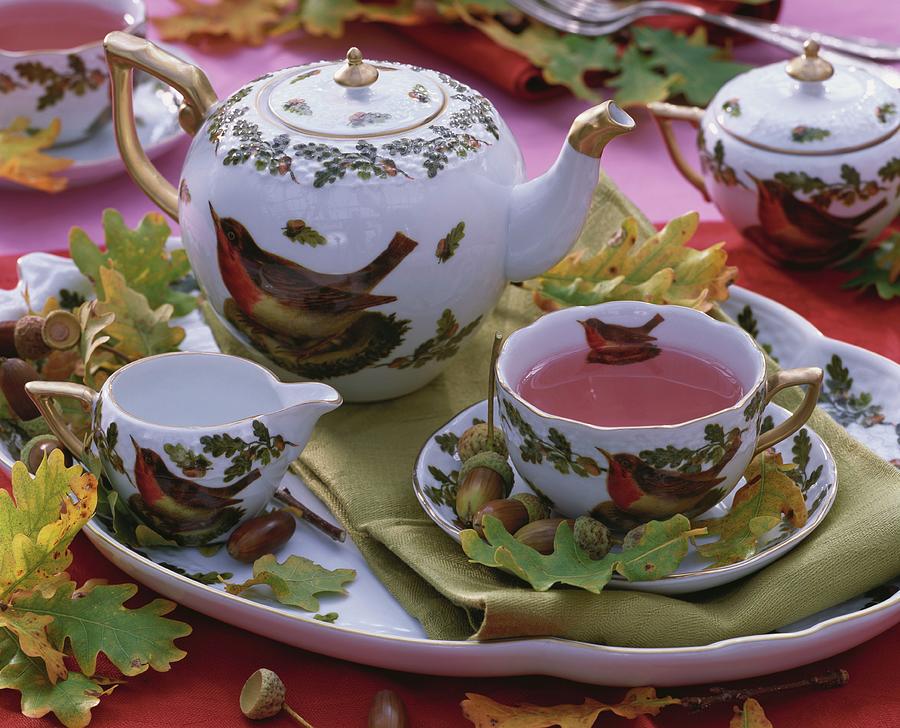 Fruit Tea In Teacup With Robin Motif, Acorns, Leaves Photograph by Strauss, Friedrich