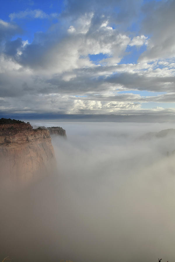 Fruita Canyon Fully Engulfed in Fog Photograph by Ray Mathis