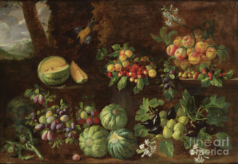 Bird Painting - Fruits by Giovanni Brugnoli Or Bagnoli