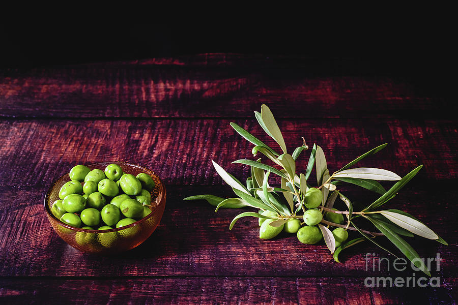Fruits of the olive tree, isolated on a dark background, source of virgin olive oil. Photograph by Joaquin Corbalan