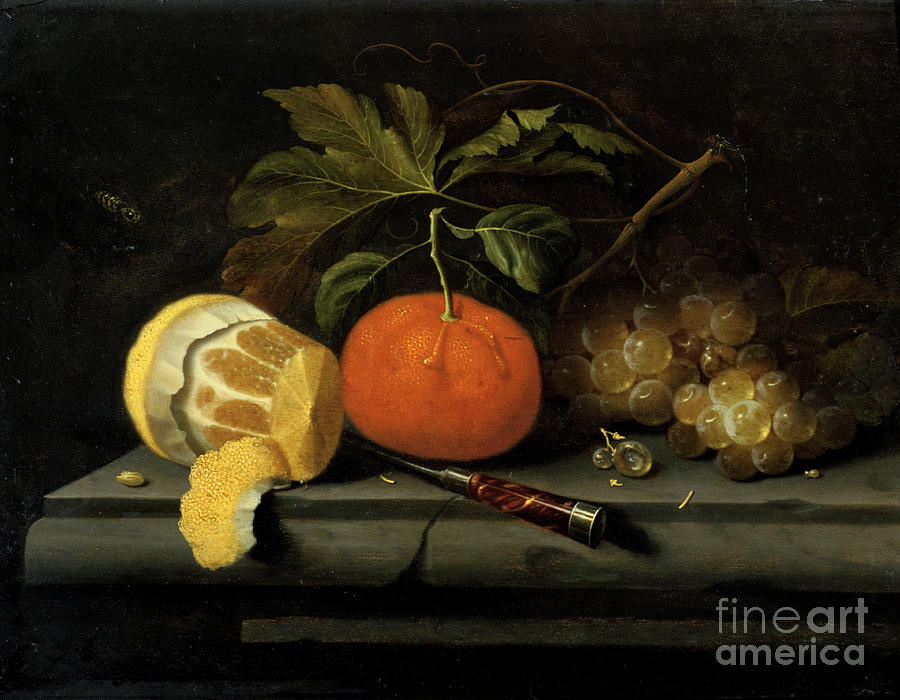 Fruits On A Table Setting Of Stone Drawing by Print Collector