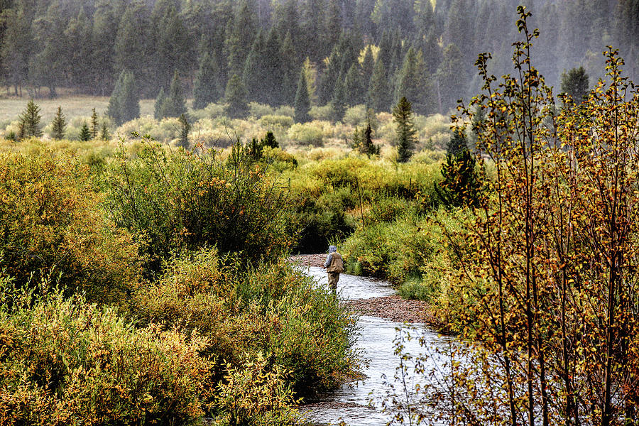 Fly Fishing in the Rockies Photograph by Lynn Sprowl