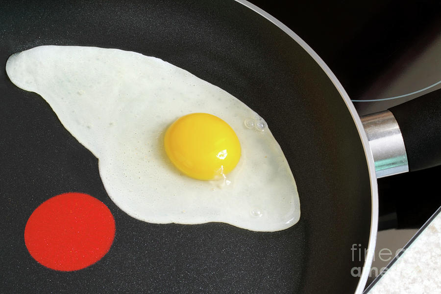 Frying An Egg Photograph by Martyn F. Chillmaid/science Photo Library