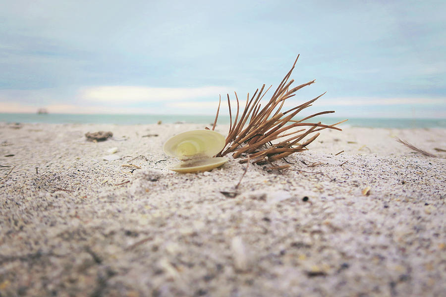 Ft Desoto Beach by Sue Collura Ft Desoto Beach by Sue Collura
