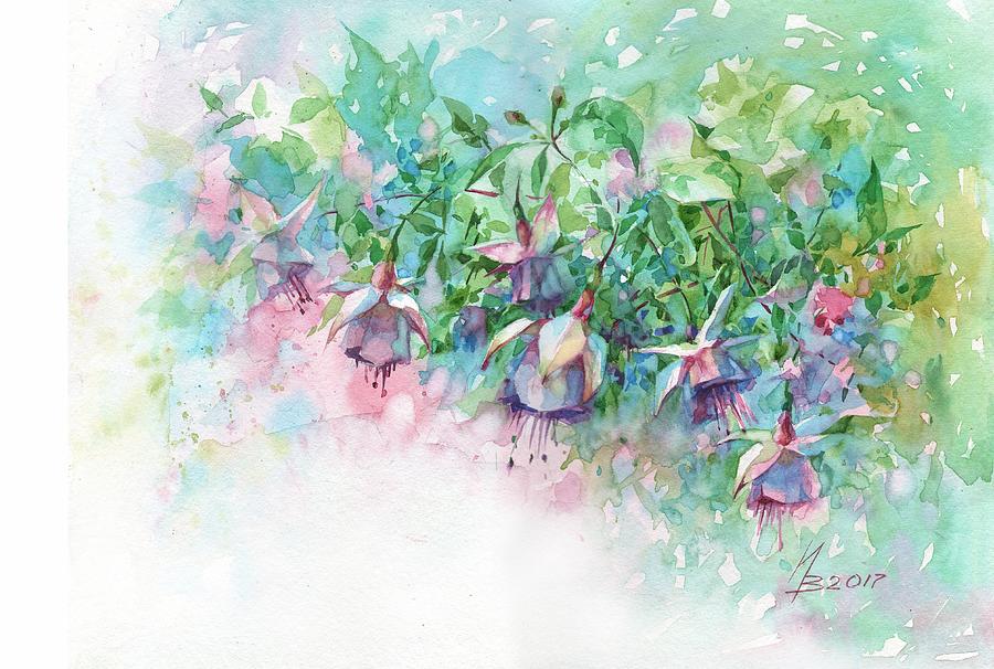 Fuchsia Blooms Painting by Ina Petrashkevich