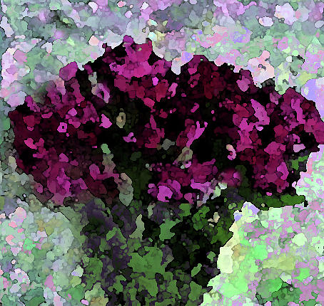 Fuchsia Bouquet Digital Art by Corinne Carroll