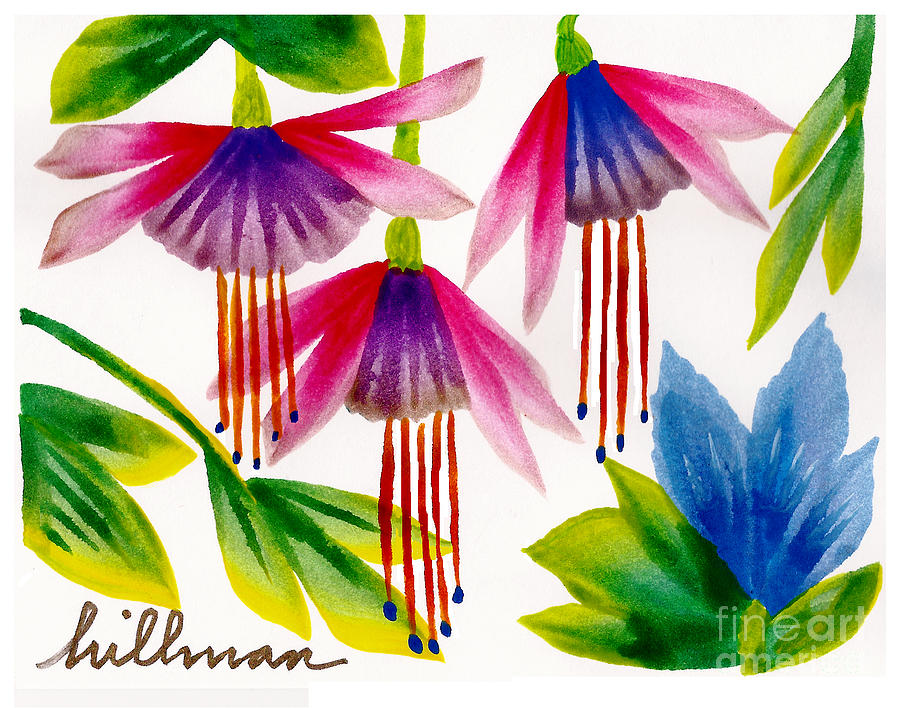 Fuchsia Dance Painting by A Hillman - Fine Art America