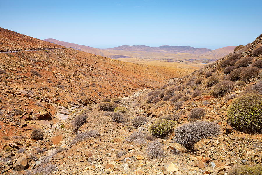 Landscape Photograph - Fuerteventura Island, Landscape Of Park by Jan Wlodarczyk