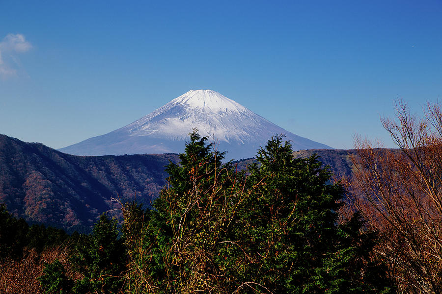 Fuji from Hakone III Photograph by Jonathan Keane