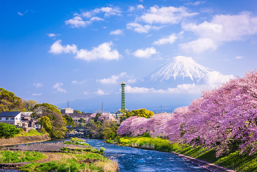 Spring Photograph - Fuji, Japan River And Mountain by Sean Pavone