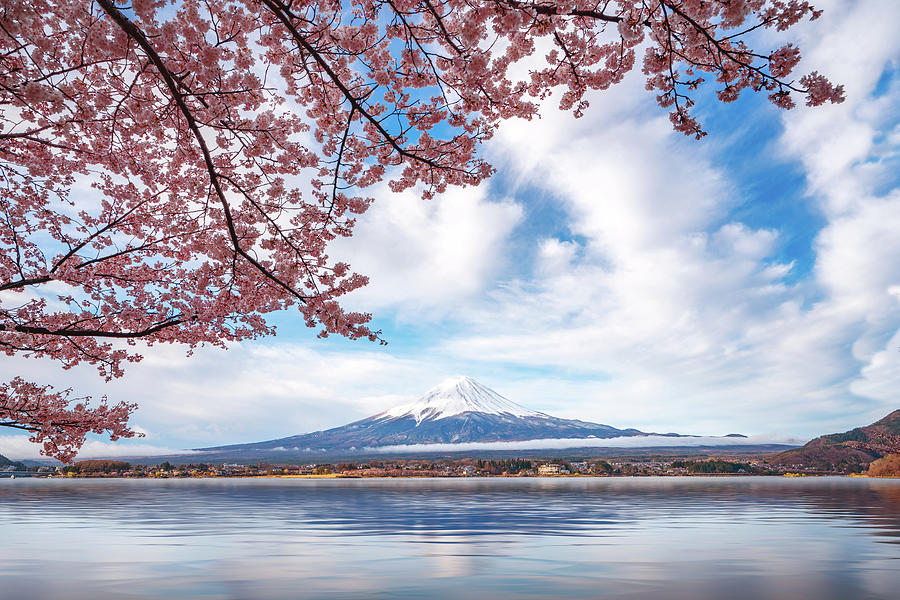 Fuji mountain with cheery blossom full blooming at lake Kawaguch Photograph by Anek Suwannaphoom