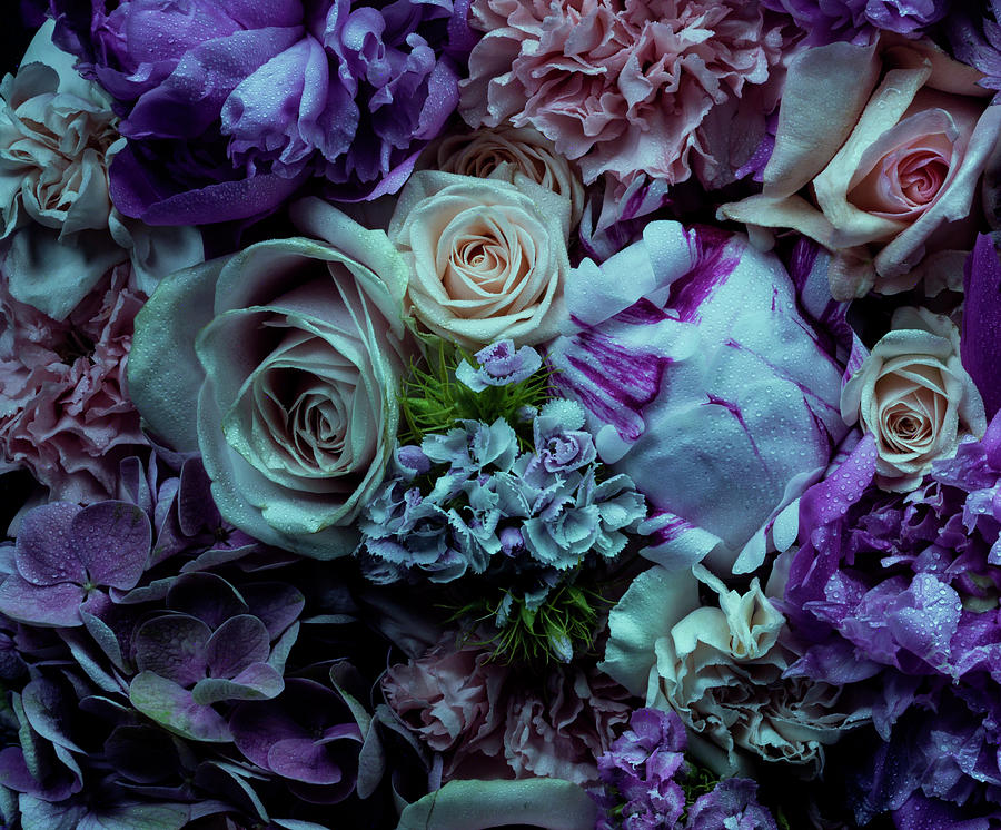 Full Frame, Atmospheric Floral Photograph by Jonathan Knowles