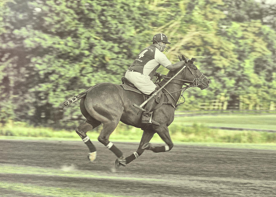 Full Gallop Polo Photograph by Dressage Design