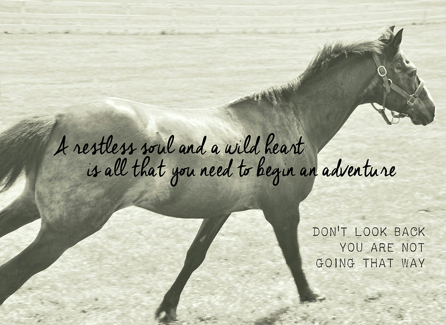 FULL GALLOP quote Photograph by JAMART Photography
