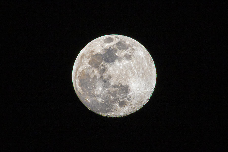 Full Moon Photograph by Allin Sorenson