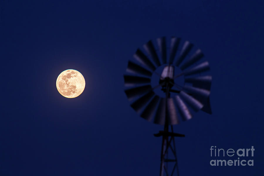 Full Moon And Windmill Photograph by Amirreza Kamkar / Science Photo Library
